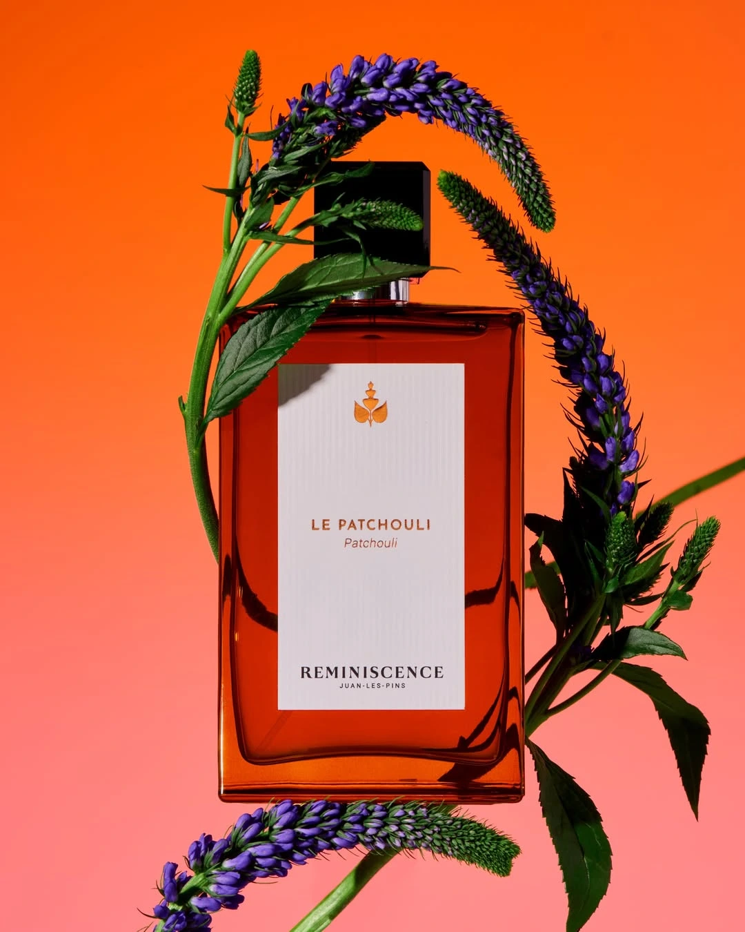 Le Patchouli – Eau de Toilette Intense 50 ml – Image 6